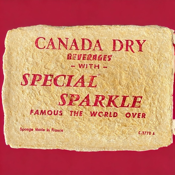 FREE WITH PURCHASE! NWOT Compressed Sponges | Kitchen, Bar, AirBB, B&B - Picture 2 of 4